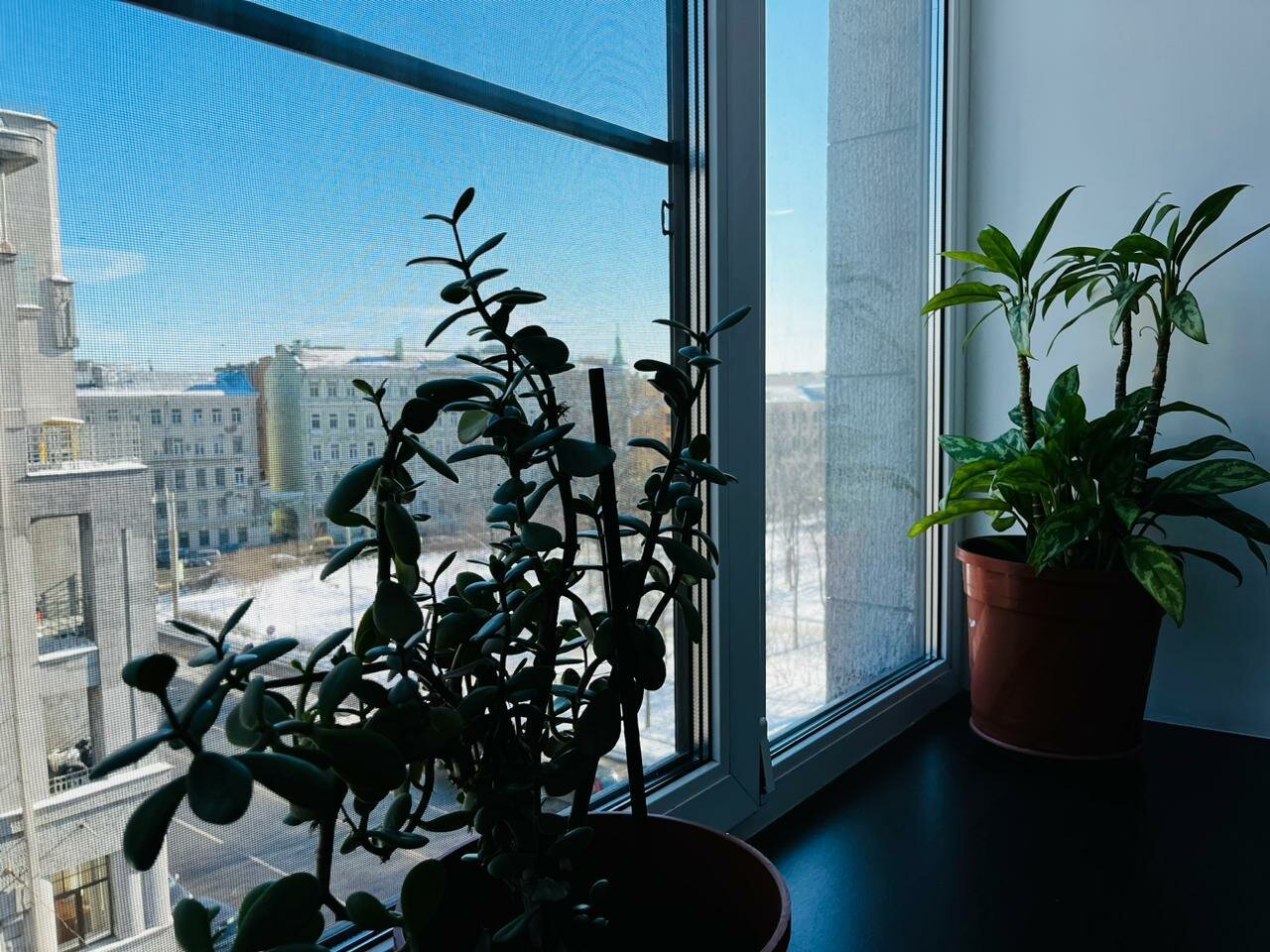 Мини-отель Викена Санкт-Петербург-49