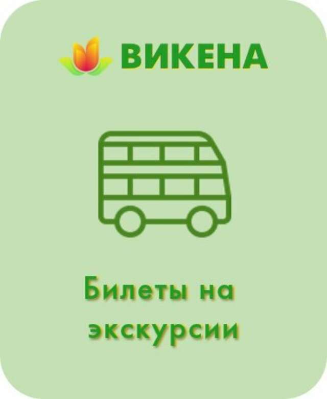 Мини-отель Викена Санкт-Петербург-153